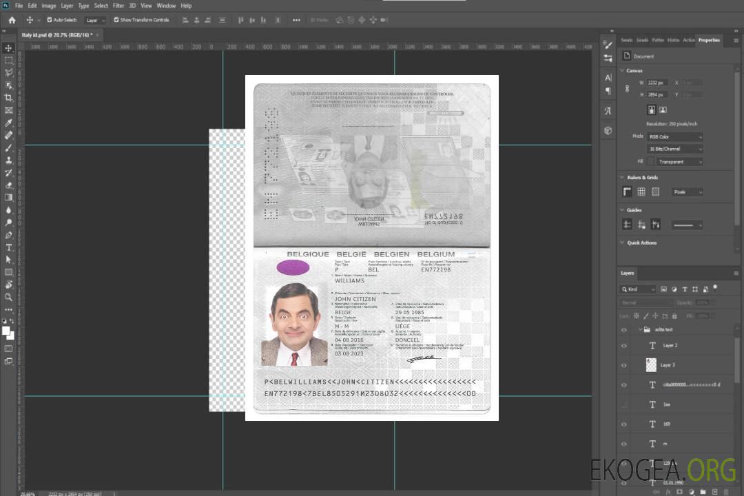 Modèle PSD de passeport BELGIQUE, avec polices, version 2 (2017-présent) template